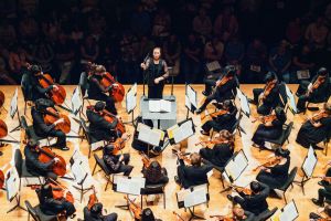 Concert photo of conductor and musicians